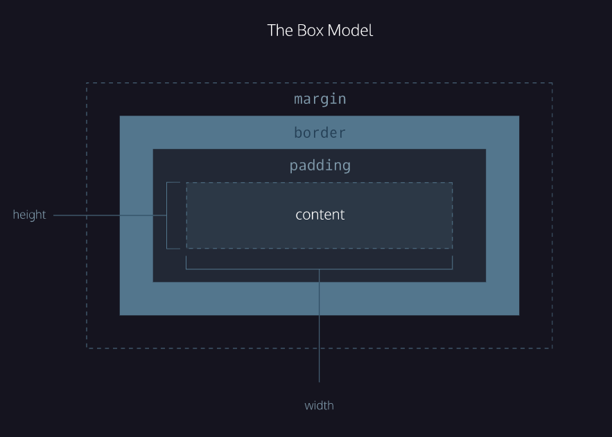 box model