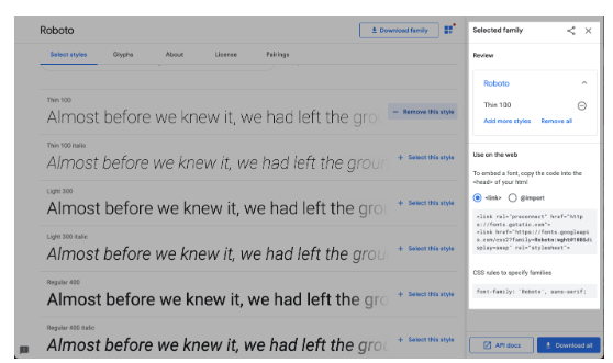 Google Font2