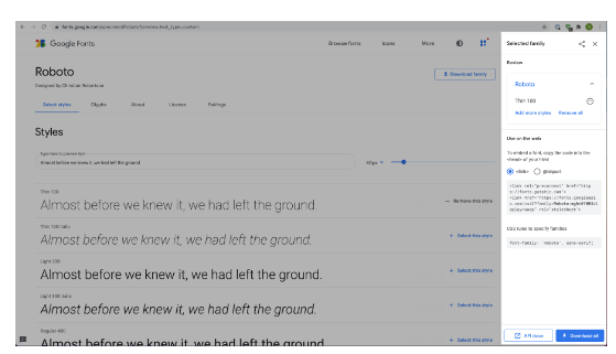 Google Font2
