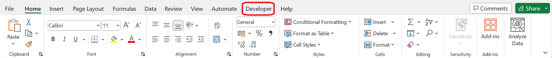 Developer Tab