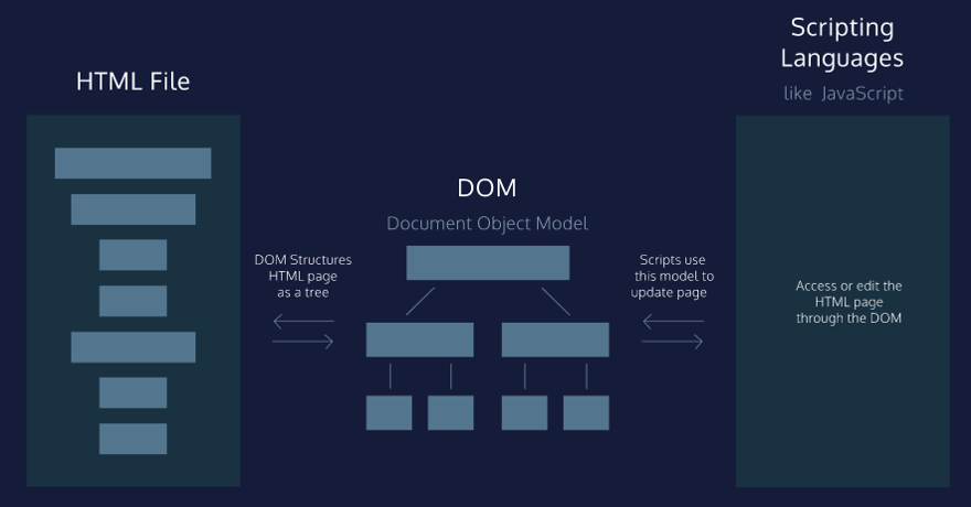 DOM1