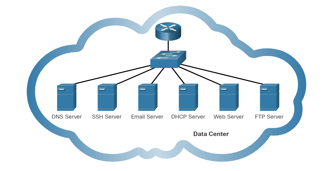 Network Application Services